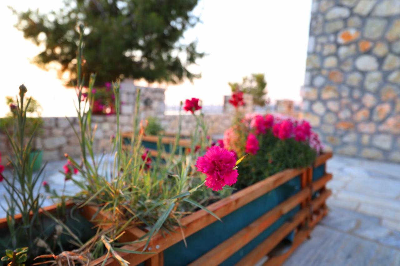 Dena Apartment Vlore