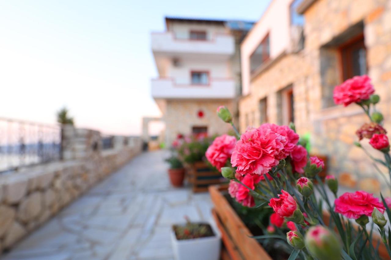 Apartment Dena Vlore